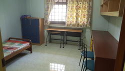 Blk 505 Jelapang Road (Bukit Panjang), HDB 5 Rooms #155092822